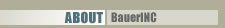 About BauerINC