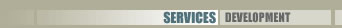 BauerINC - Application Development - Services