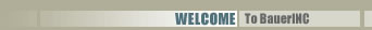 Welcome to BauerINC